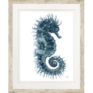 KS- SEAHORSE 3